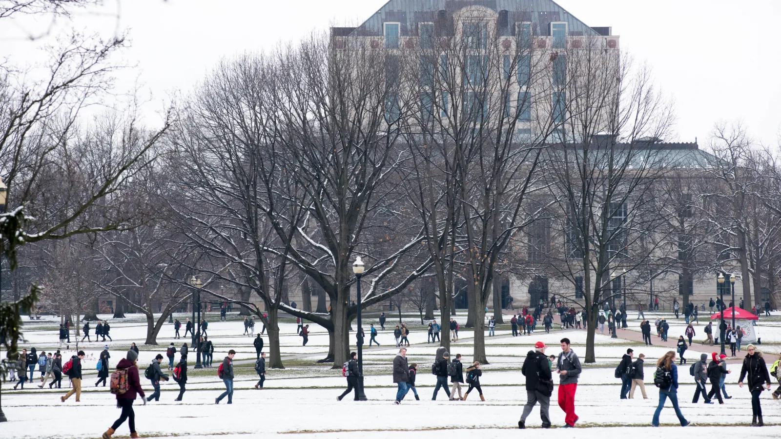 Winter in the Oval