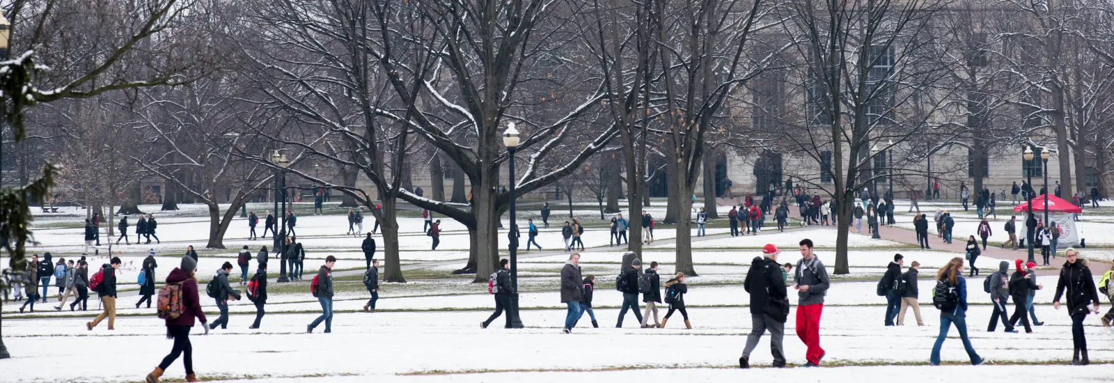Winter in the Oval